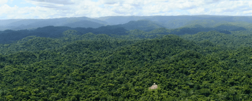 Tapir Mountain Nature Reserve